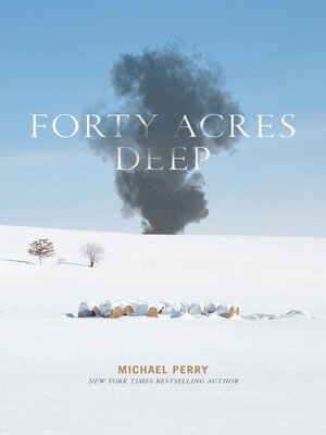 cover image of Forty Acres Deep